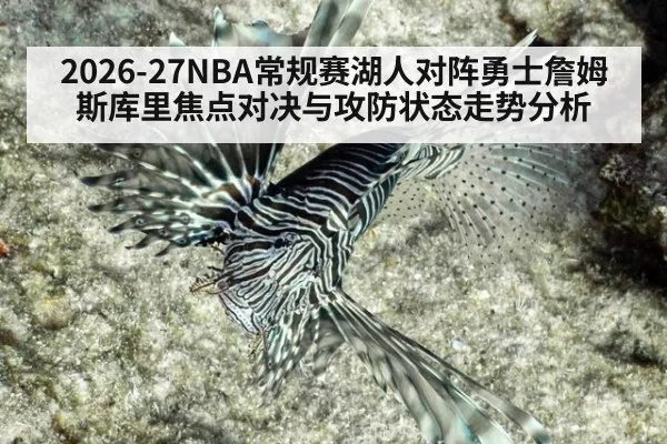 2026-27NBA常规赛湖人对阵勇士詹姆斯库里焦点对决与攻防状态走势分析